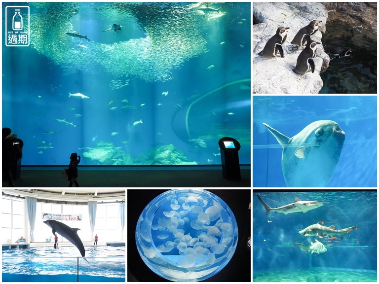 AQUA WORLD 大洗水族館