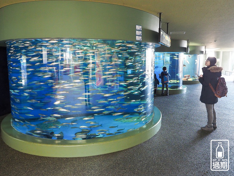 AQUA WORLD 大洗水族館