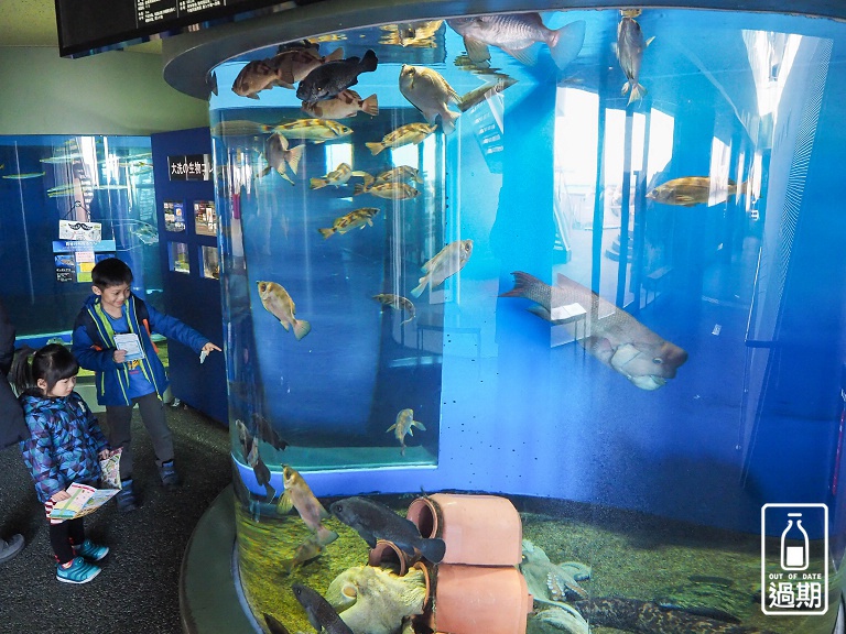 AQUA WORLD 大洗水族館