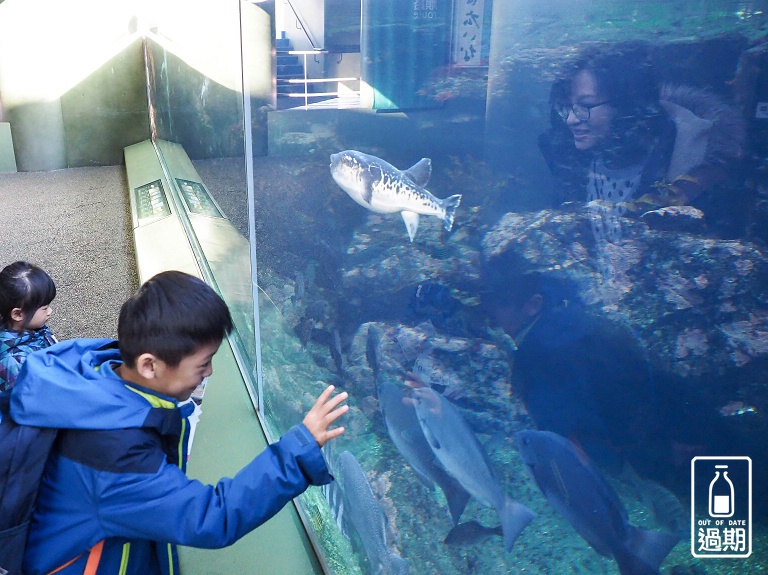 AQUA WORLD 大洗水族館