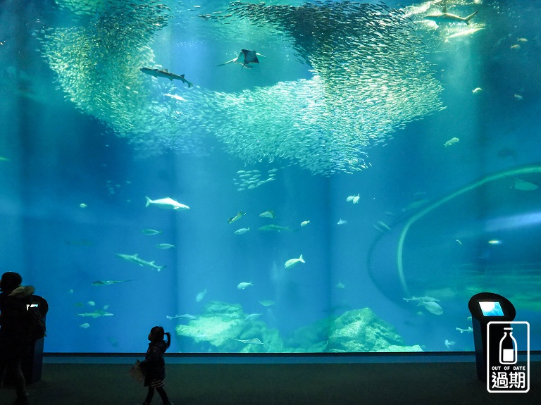 AQUA WORLD 大洗水族館