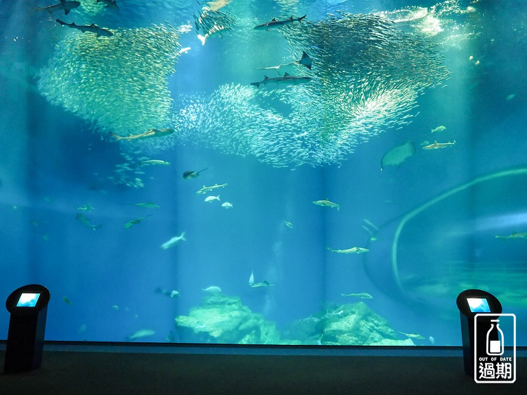 AQUA WORLD 大洗水族館