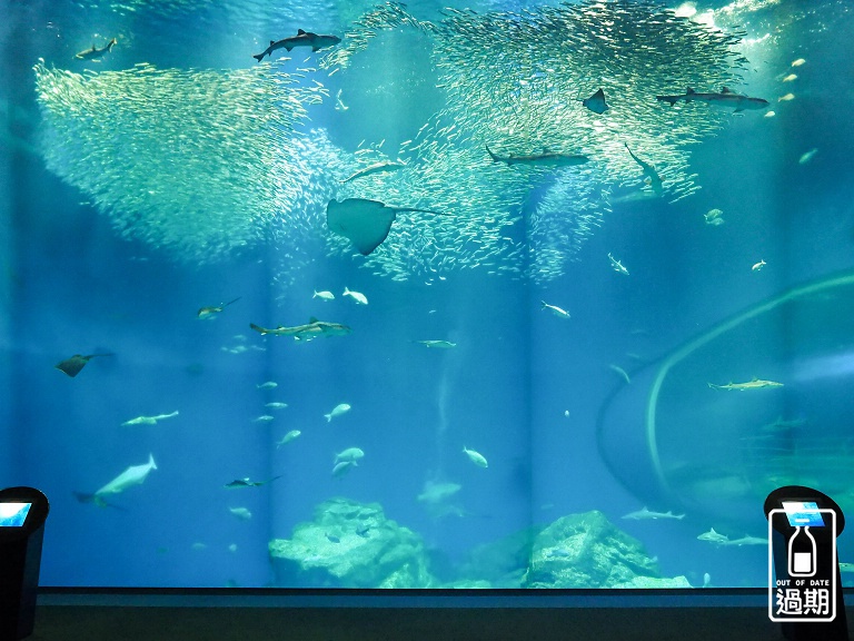 AQUA WORLD 大洗水族館