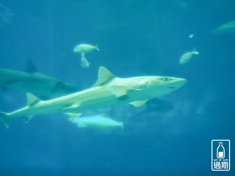 AQUA WORLD 大洗水族館