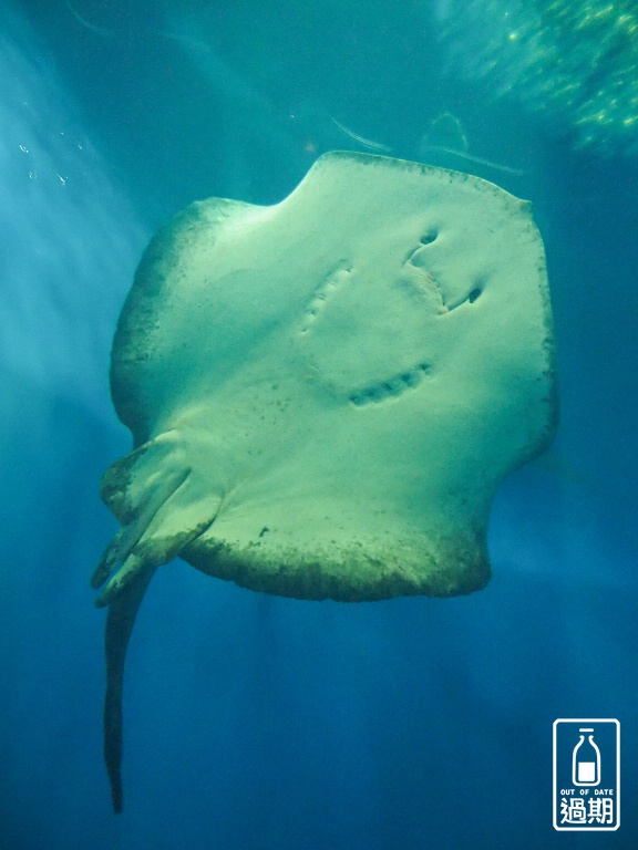 AQUA WORLD 大洗水族館