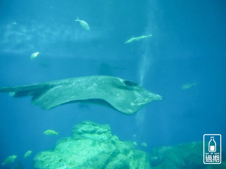 AQUA WORLD 大洗水族館