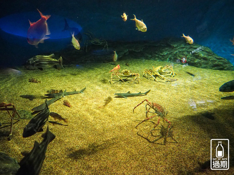 AQUA WORLD 大洗水族館