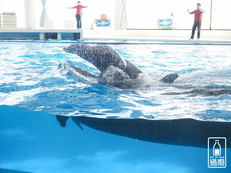 AQUA WORLD 大洗水族館