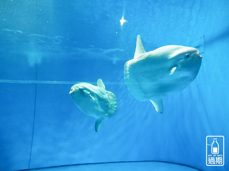 AQUA WORLD 大洗水族館