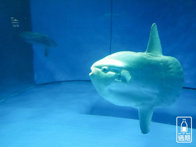 AQUA WORLD 大洗水族館