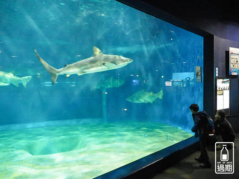 AQUA WORLD 大洗水族館