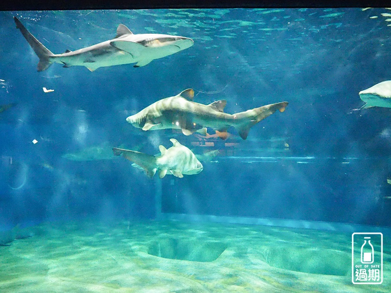 AQUA WORLD 大洗水族館