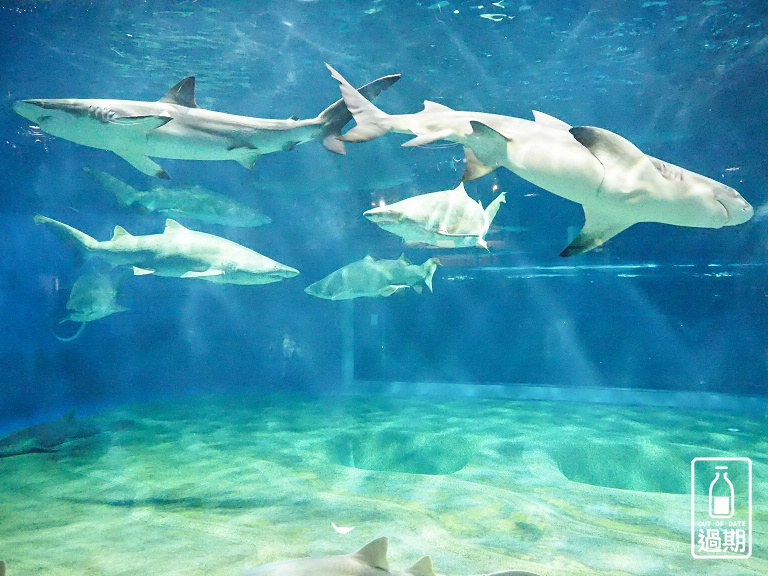 AQUA WORLD 大洗水族館