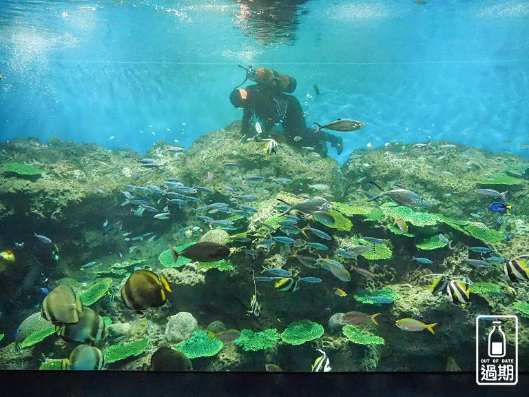 AQUA WORLD 大洗水族館