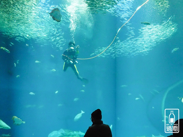 AQUA WORLD 大洗水族館