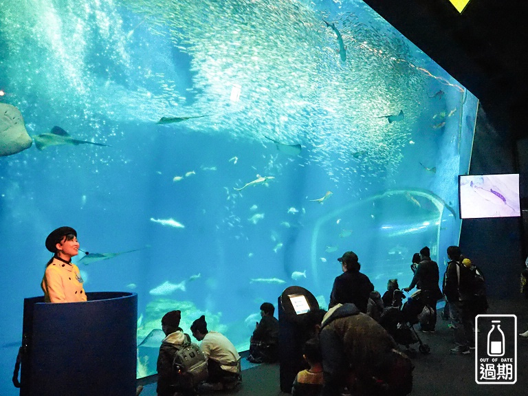 AQUA WORLD 大洗水族館