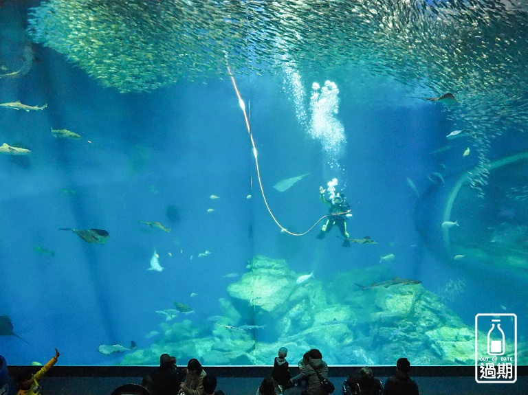 AQUA WORLD 大洗水族館