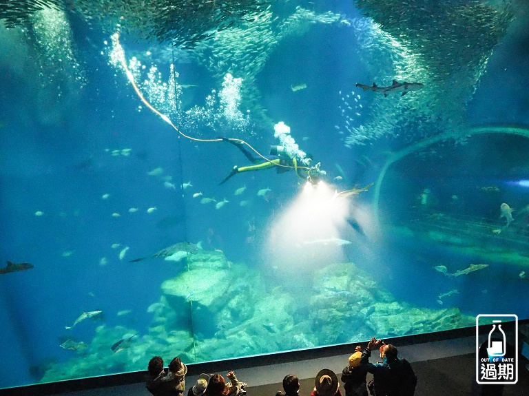 AQUA WORLD 大洗水族館