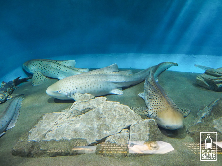 AQUA WORLD 大洗水族館