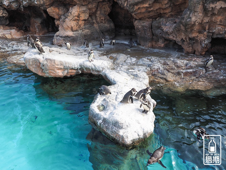 AQUA WORLD 大洗水族館