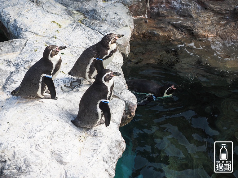 AQUA WORLD 大洗水族館