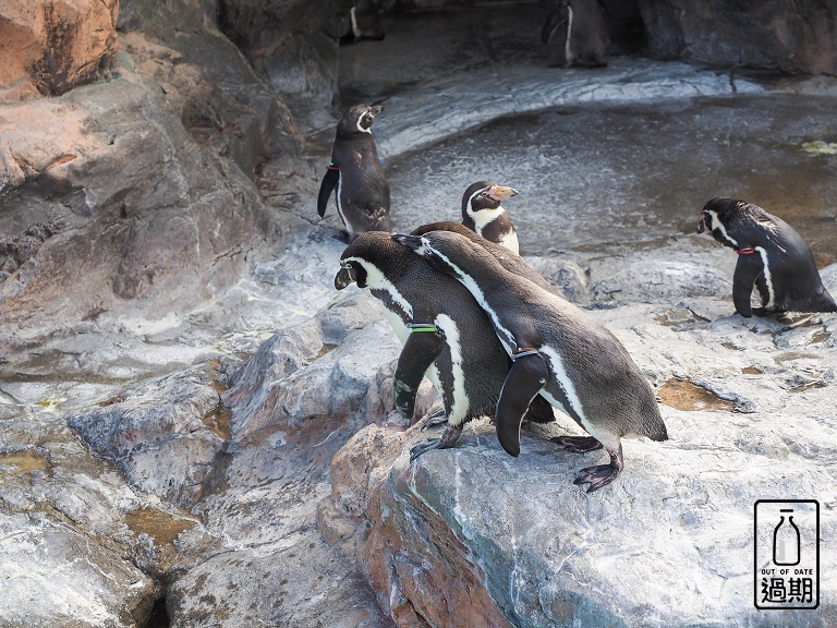 AQUA WORLD 大洗水族館