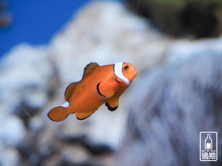 AQUA WORLD 大洗水族館