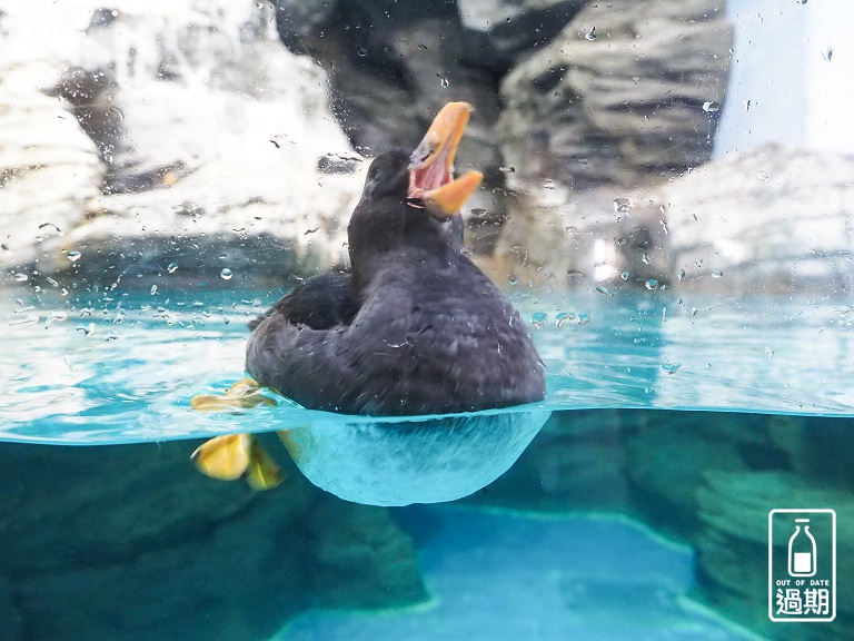 AQUA WORLD 大洗水族館