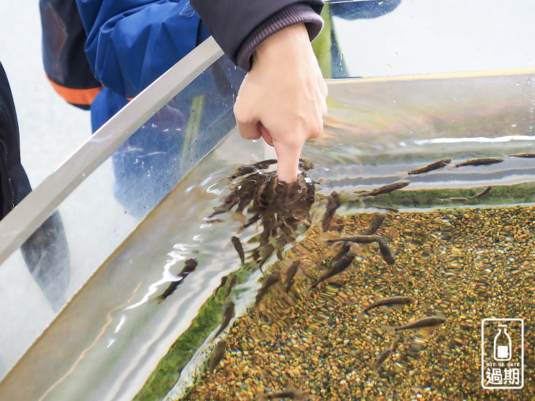 AQUA WORLD 大洗水族館