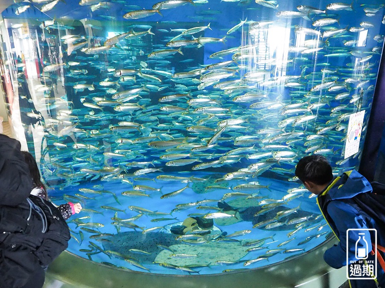 AQUA WORLD 大洗水族館