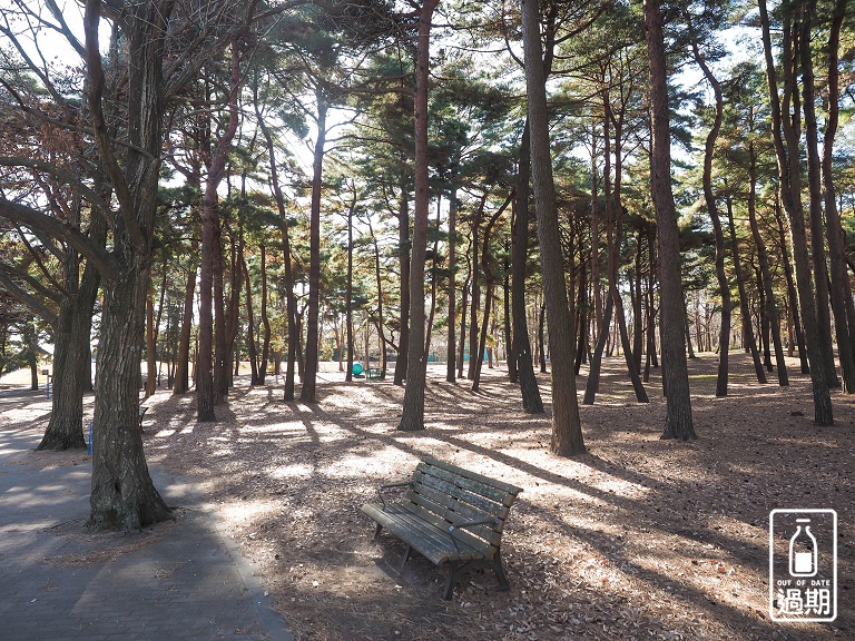 國營常陸海濱公園