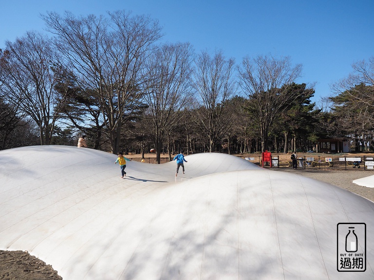 國營常陸海濱公園