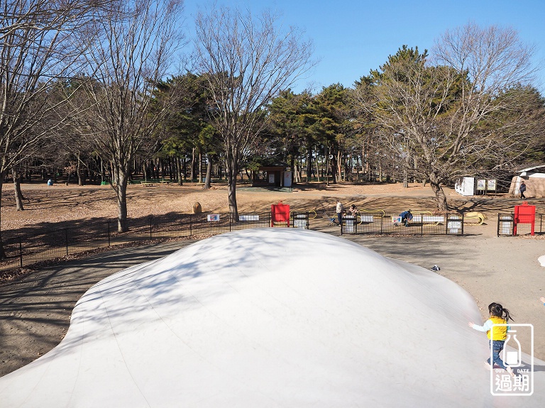 國營常陸海濱公園