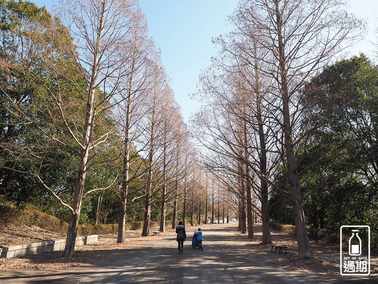 國營常陸海濱公園