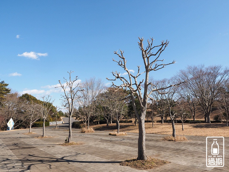 國營常陸海濱公園