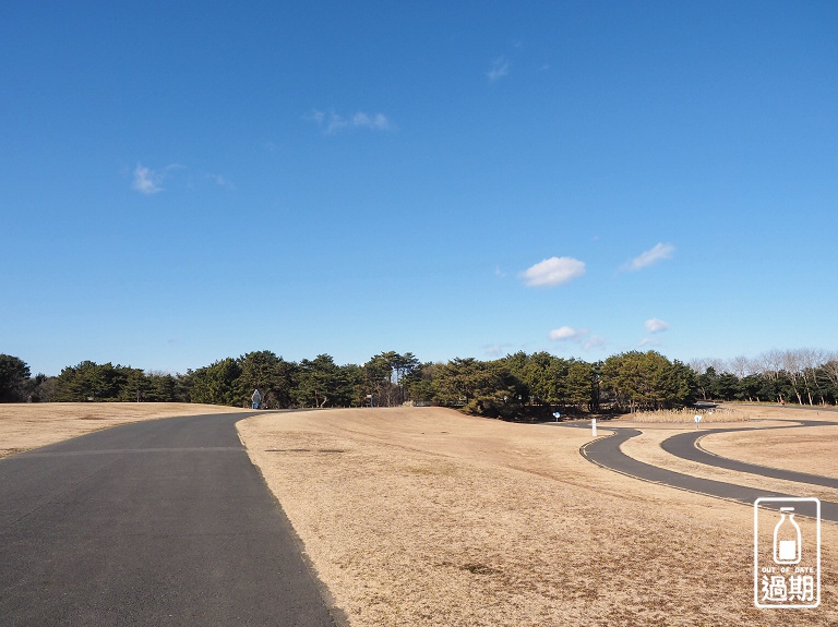 國營常陸海濱公園