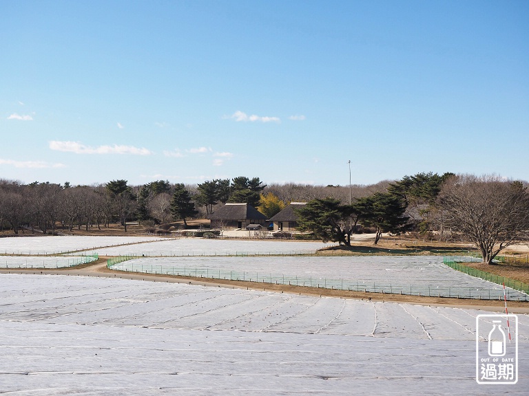 國營常陸海濱公園