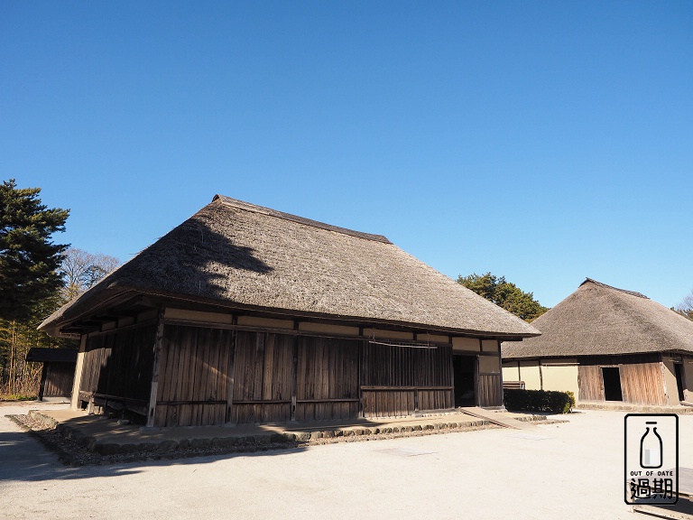 國營常陸海濱公園