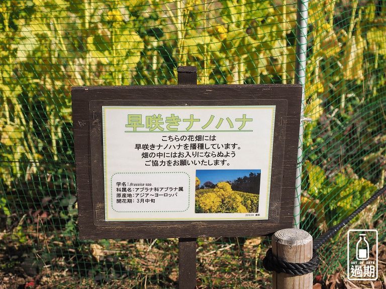 國營常陸海濱公園