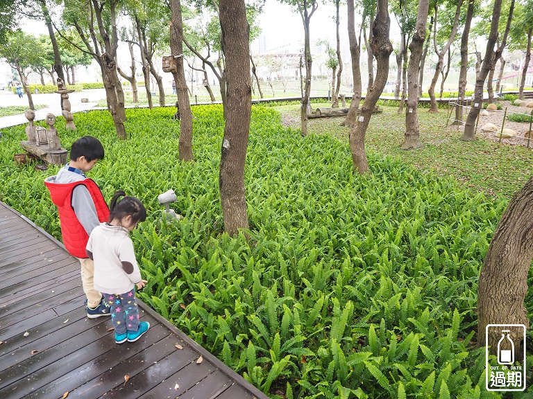 桃園風禾公園