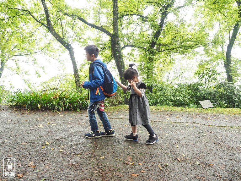 熊空茶園