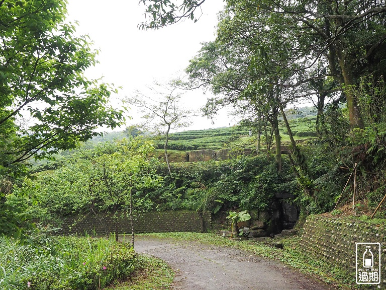 熊空茶園