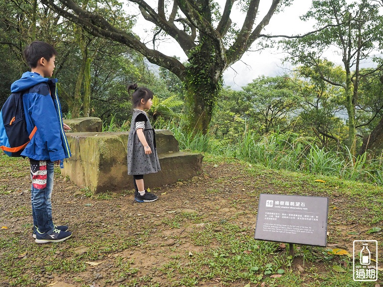 熊空茶園