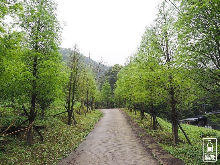 熊空茶園