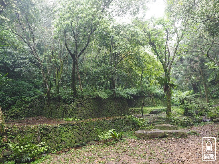 熊空茶園