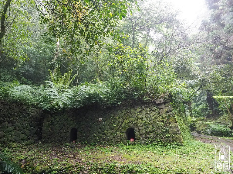 熊空茶園