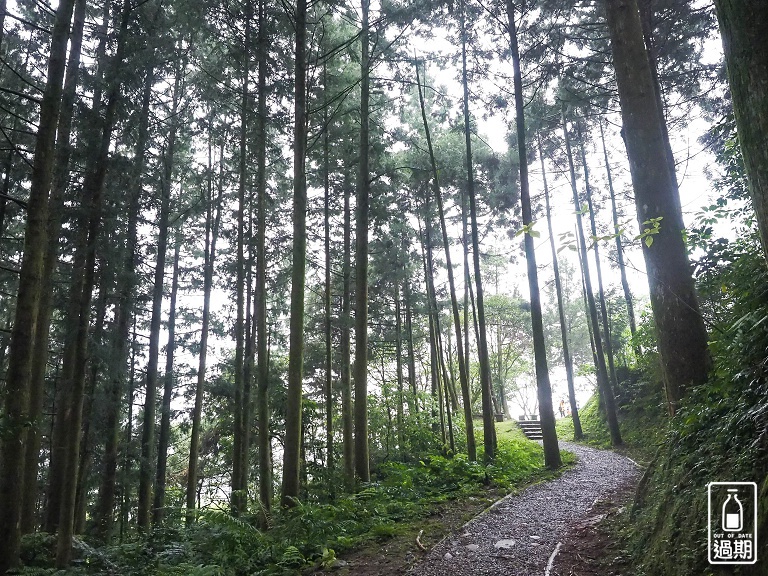 熊空茶園