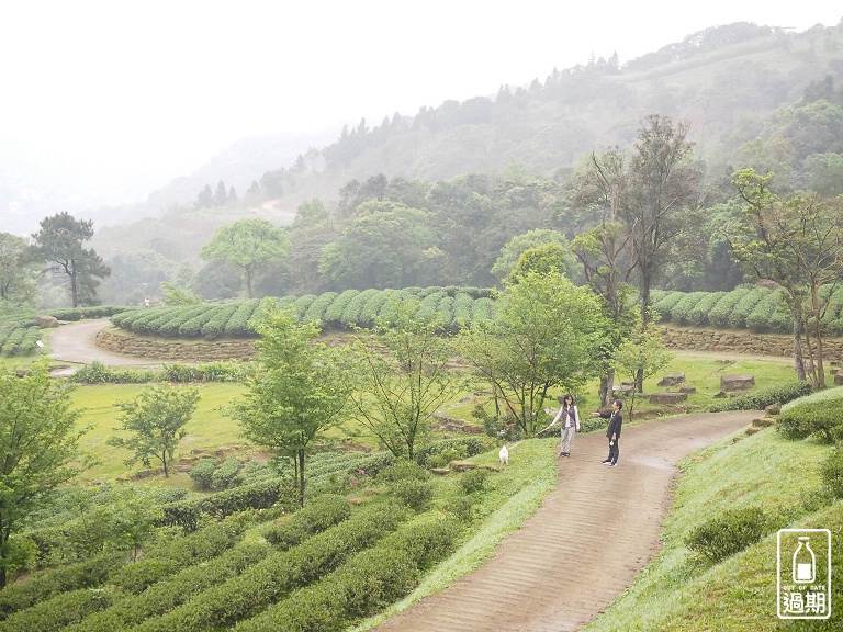 熊空茶園