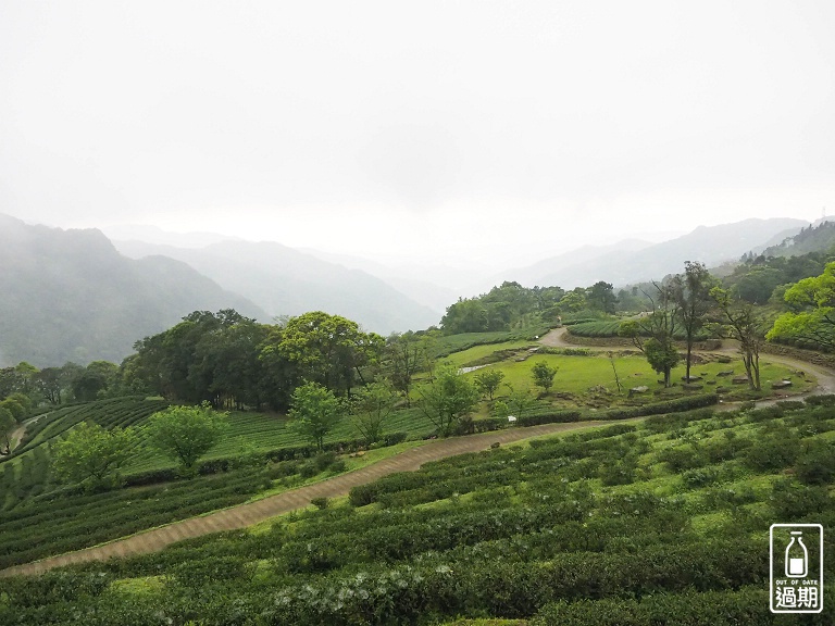 熊空茶園