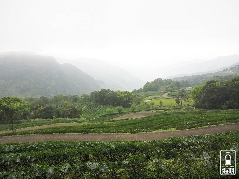 熊空茶園